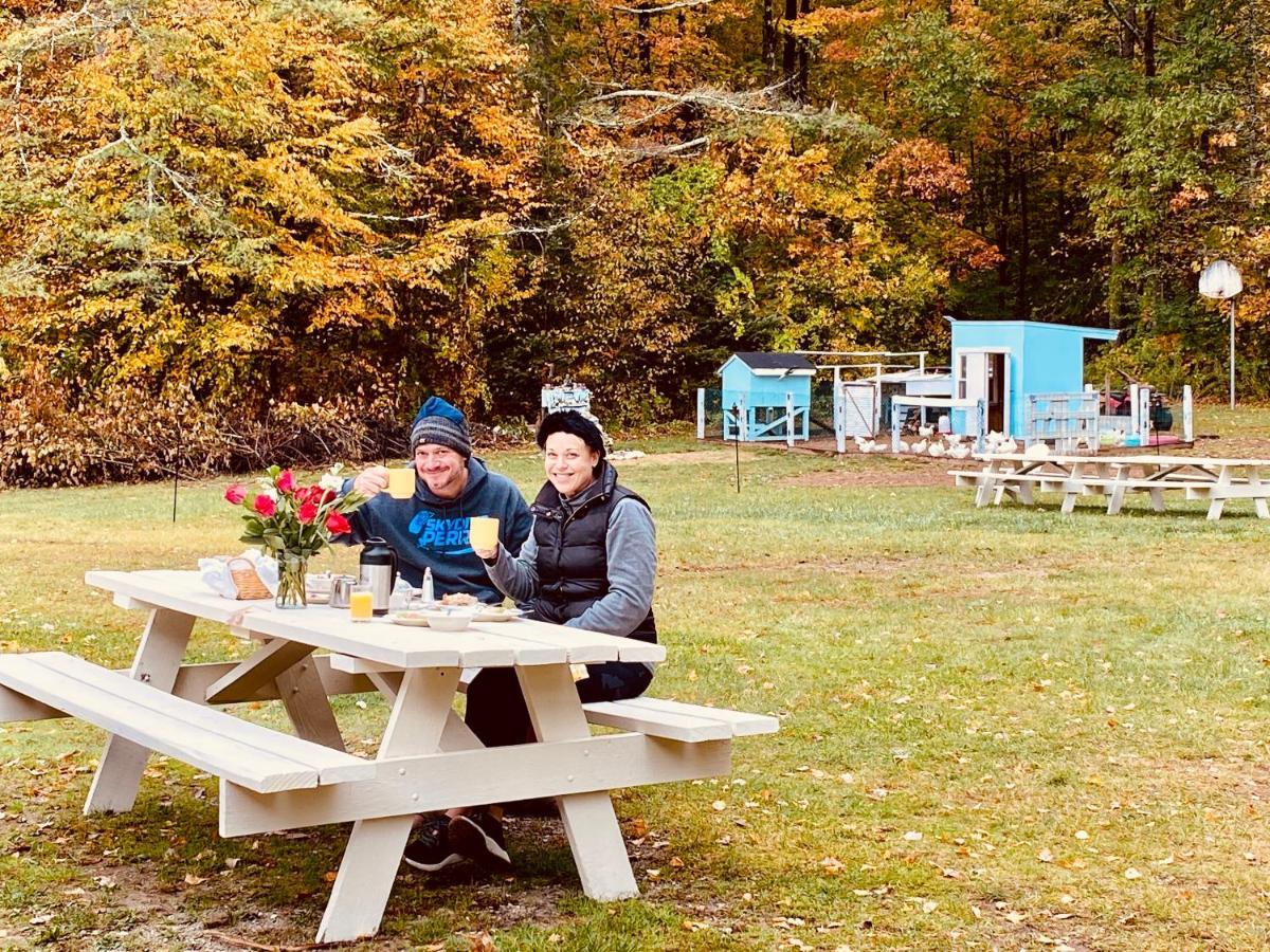 Arcady Mountain Motor Lodge Сандерланд Экстерьер фото