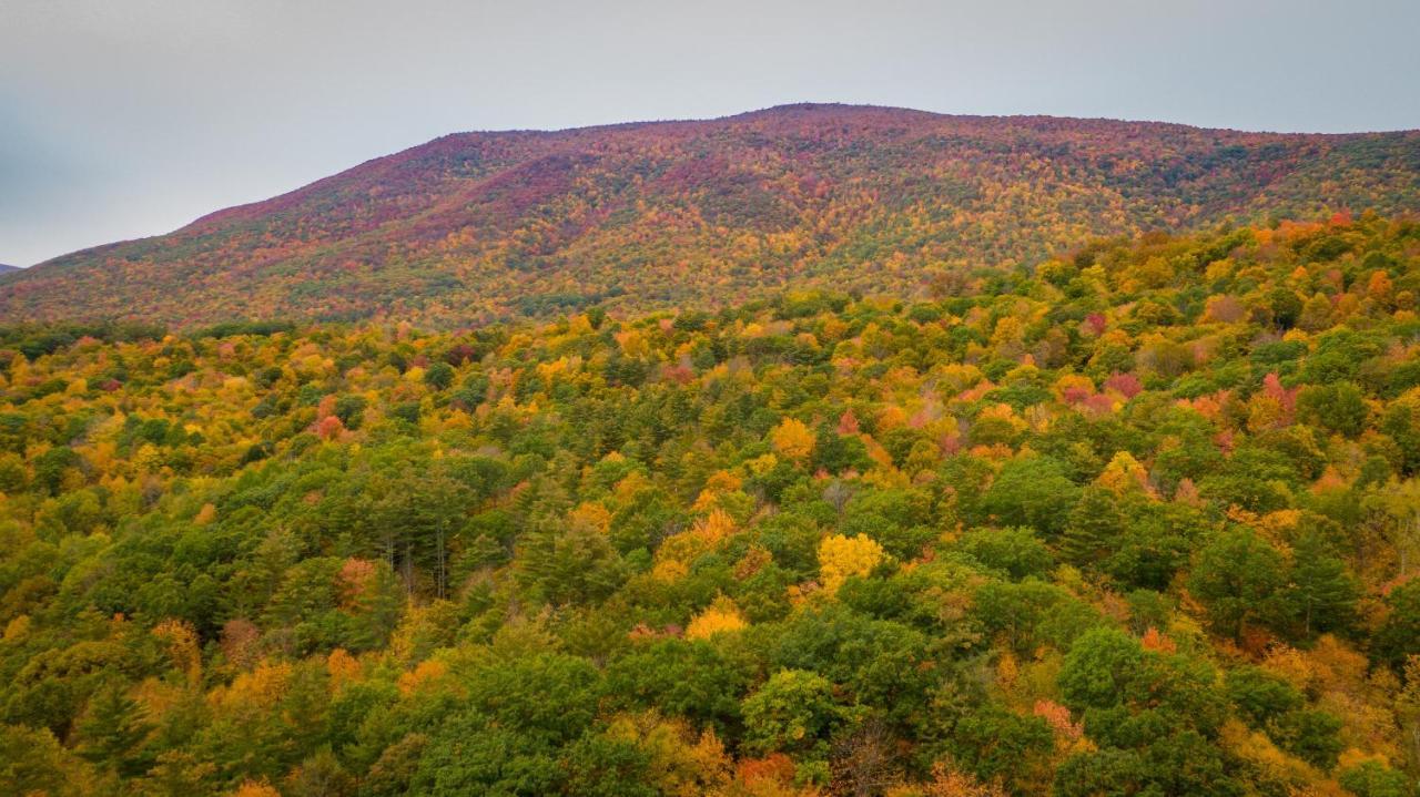 Arcady Mountain Motor Lodge Сандерланд Экстерьер фото