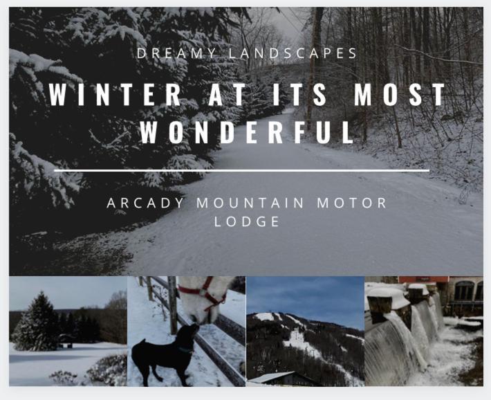Arcady Mountain Motor Lodge Сандерланд Экстерьер фото